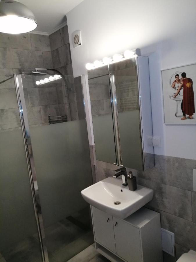 شقة Târgu-Mureş  في Maurer Loft المظهر الخارجي الصورة