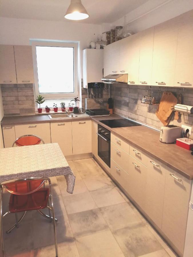 شقة Târgu-Mureş  في Maurer Loft المظهر الخارجي الصورة